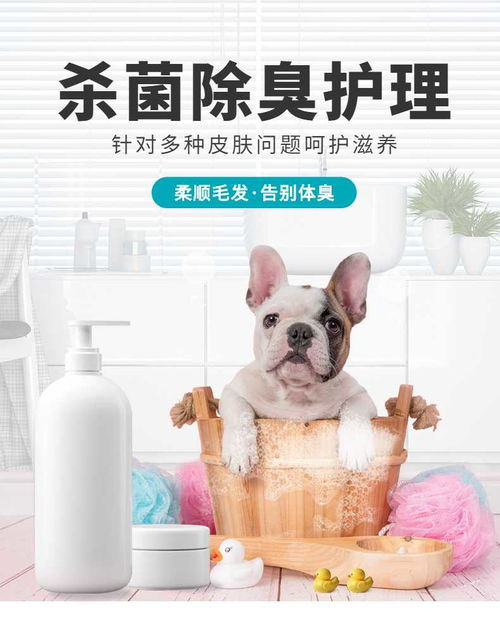 簡約設計，溫柔呵護——寵物洗護用品詳情頁 | 寵物全運會聯名手機海報長圖