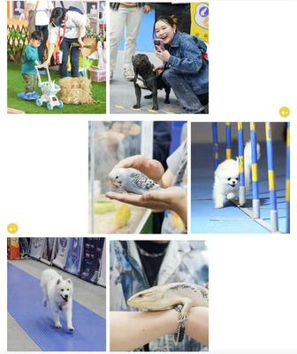 數萬寵業人齊聚潮寵展，這些亮點讓人驚呼OMG！寵物全運會點燃行業激情